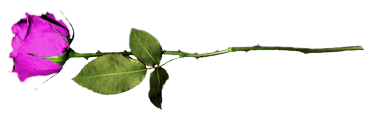 sticker_13123562_47297301