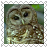 sticker_17588002_46704022