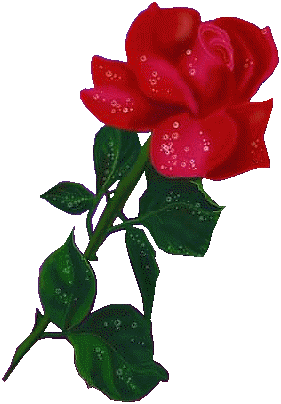 sticker_21232247_47534954