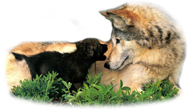 sticker_12417504_25838573