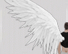 Z Angel Off white