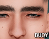 𝗕. Asteri Eyebrow