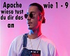 Apache - Wieso tust Du d