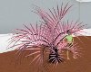 [MZ] Pink Palm