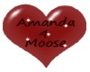mandy 4 moose