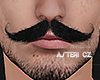 cz ★ Asteri Moustache