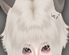 NNN.狐 WolfCut