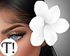 T! Dreamy White Flower L