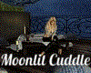 Moonlit Cuddle