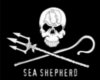 sea shephards flag