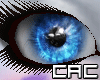 [C.A.C] SnoDrop Eyes