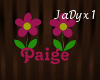 Paige Name Sign