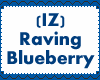 (IZ) Raving Blueberry
