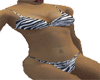 Zebra Bikini Top