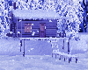 Winter Cabin Night