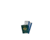 nigeria passport