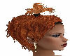 Meneshta Ginger