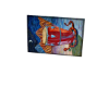 Conga Mural
