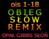 OBIEG SŁÓW REMIX