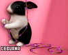 Bunny Decoration