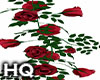 Rose Red