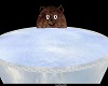 Bear Ice Skating Room