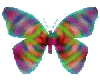 Psychedelic Butterfly