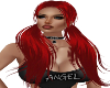 Ponytails (BR)