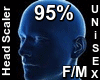 F/M Head Scaler 95%