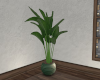 xN! Denton Plant