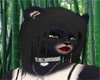 Asiatic Black Bear Fur F