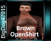 [BD]BrownOpenShirt