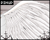 ⚓ | Angel Wings