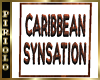 Caribbean Synsation II