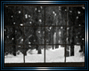 [Y] Decadent window