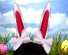 Kid Easter Bunny Ears