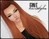 F| Elamide Ginger