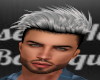 JR-Silver