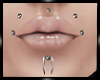 X.Facial Percings V4