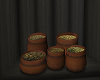 Witch Herb jars