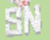 SN 2