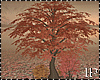 Autumn Pink Tree x 3