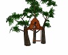 Tree  House
