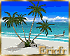 [Efr] Coconut PalmTrees