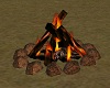 CK Safari Room Campfire