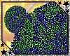 ⍣ Xceptional Poms