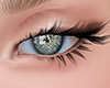Agatas Eyes 1