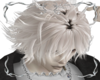 ✧･ﾟZOLDYCK Blonde