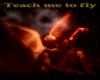 Teach Me To Fly