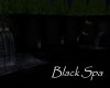 AV Black Spa
